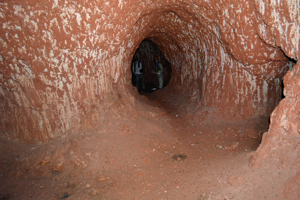 Фото: Amilcar Adamy. Источник: https://www.sciencealert.com/this-massive-tunnel-in-south-america-was-dug-by-ancient-mega-sloths
