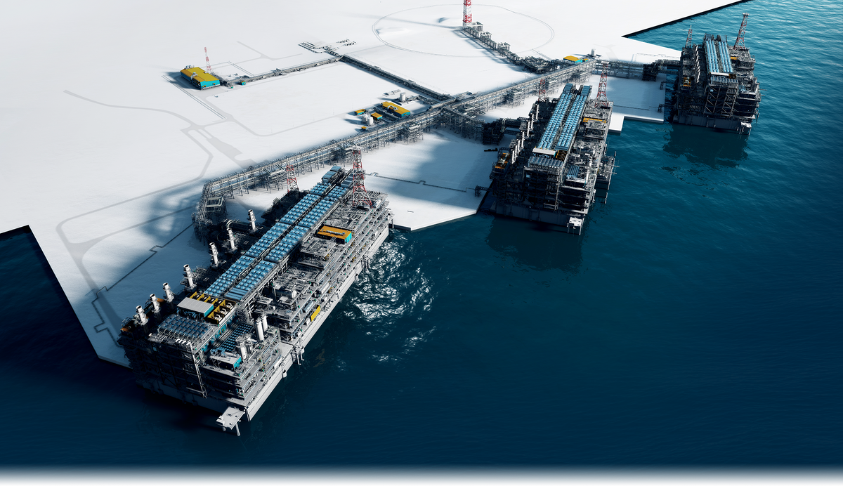 Источник фото: https://arcticspg.ru/