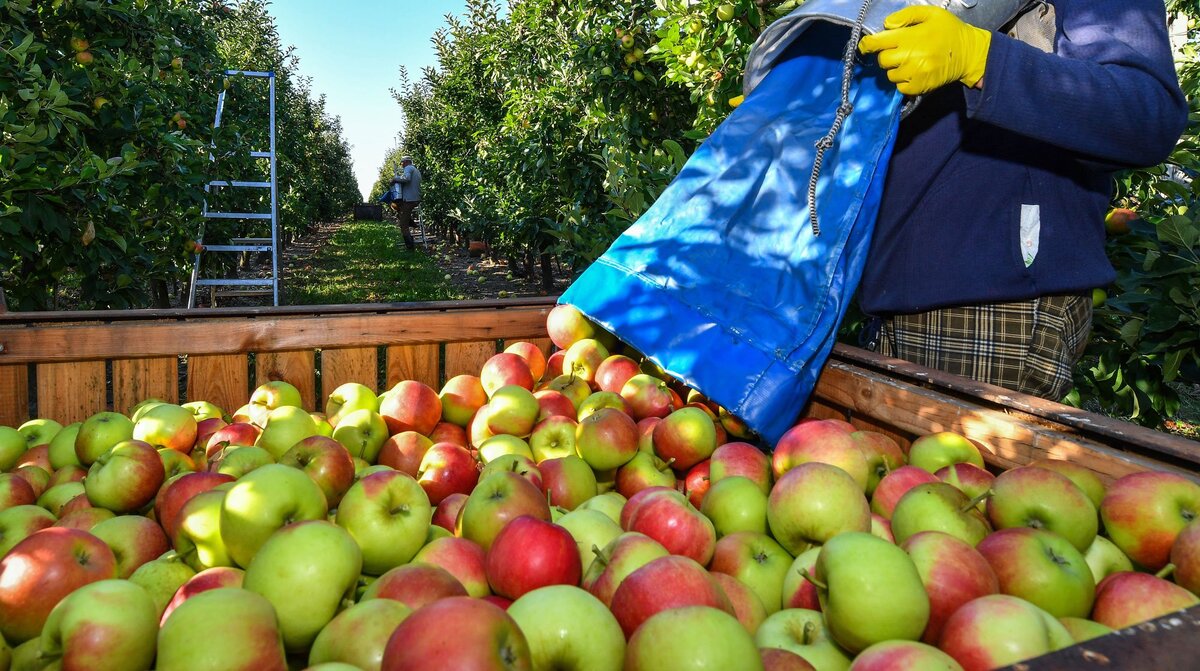 Фото: © GLOBAL LOOK press/Patrick Pleul