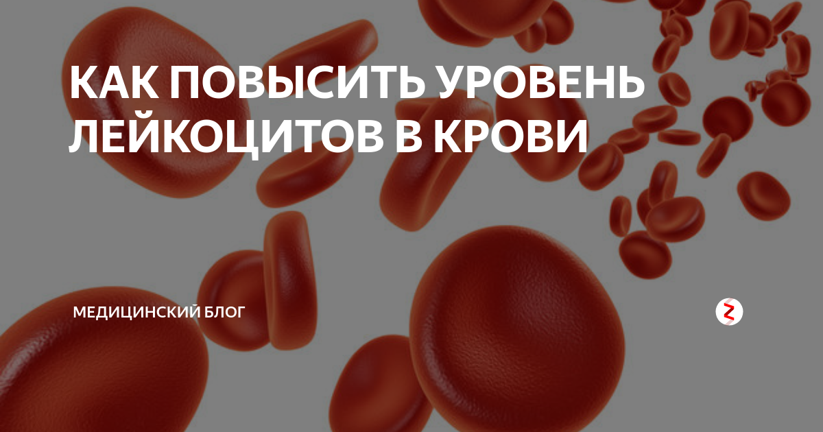 Как поднять лейкоциты в крови у мужчины