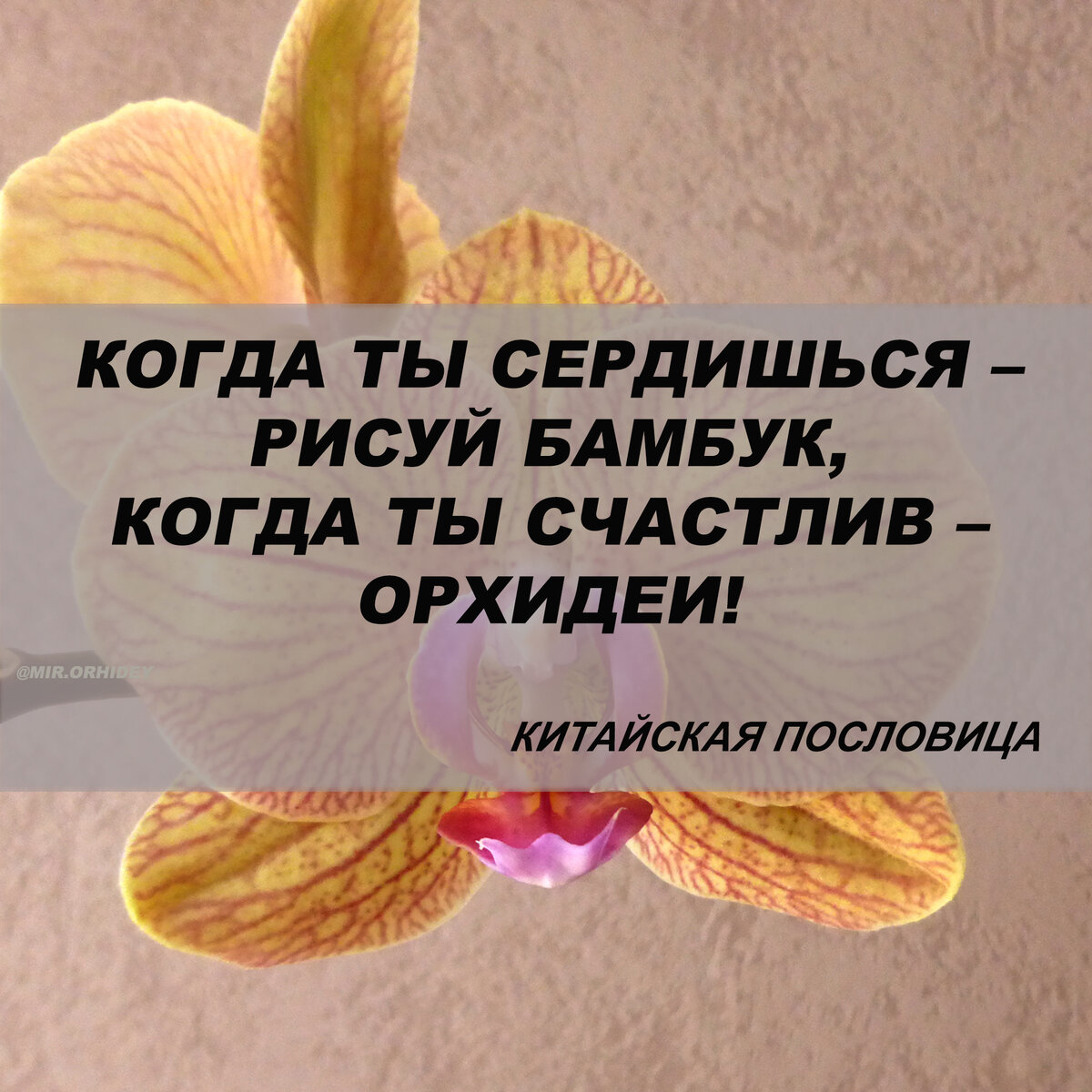 Когда ты сердишься рисуй бамбук когда ты счастлив орхидеи