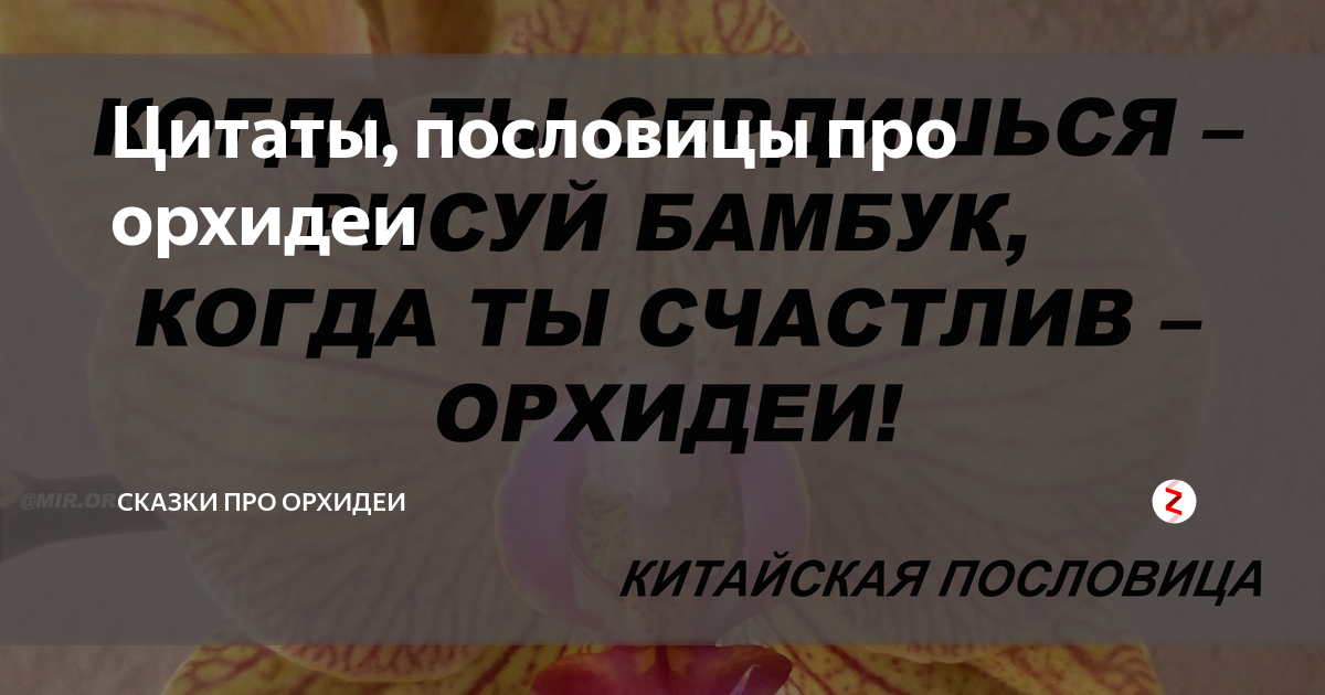 Когда ты сердишься рисуй бамбук когда ты счастлив орхидеи