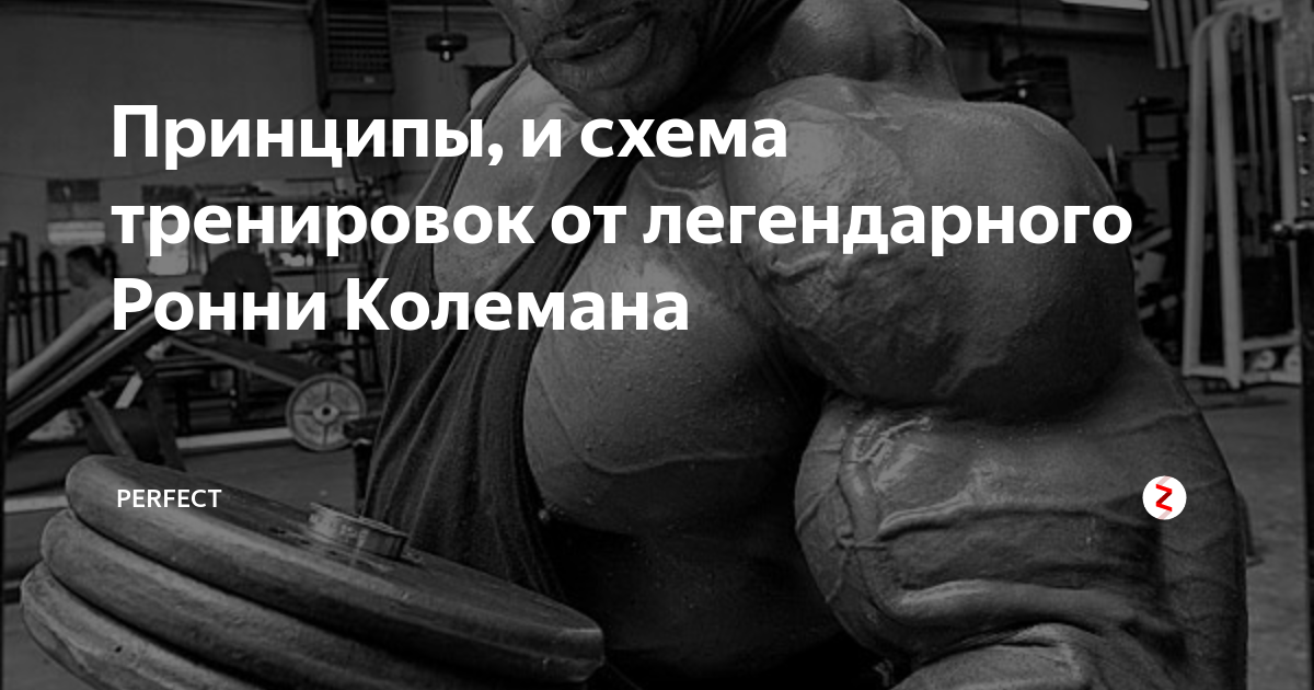 Программа тренировок колемана. Петров Евгений Кумертау. День плечей тренировка Мем.