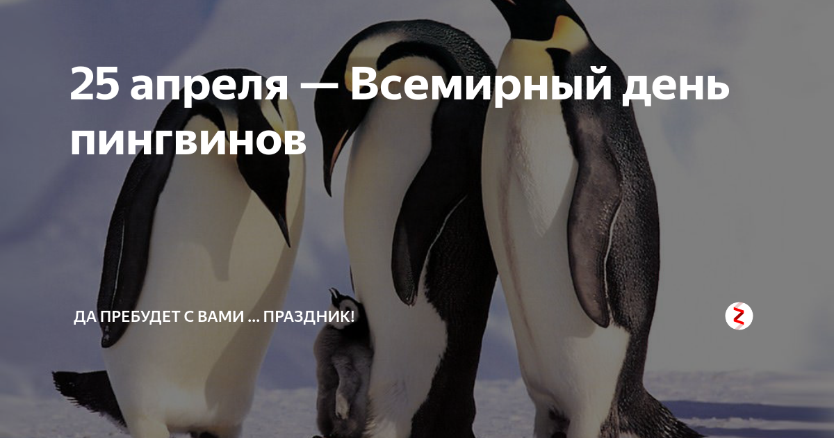 Картинки на 25 апреля