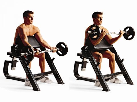 Локти зафиксированы, не двигаются