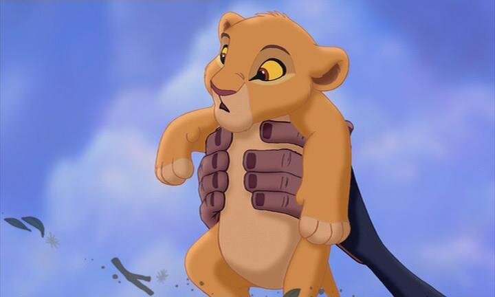 Симба недоумевает.