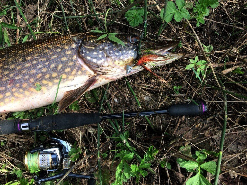 Вот такие они - стримера! Щука на стример отзывается очень даже не плохо!