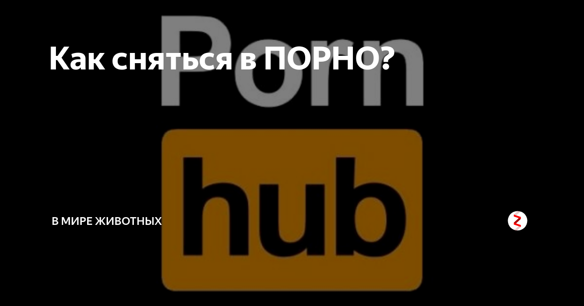 pornerys.ru | Forum | Работа в США Чикаго