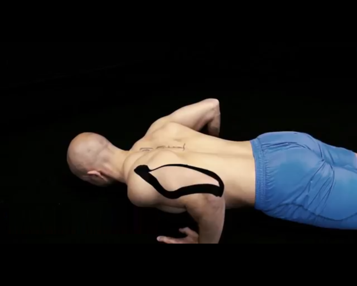 упражнения для бицепса дома без гантель. домашние тренировки без железа. бицепсы без железа. тренировка на бицепс без железа. тренировка бицепса без инвентаря.