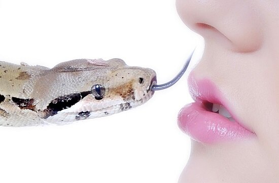 афрадизиаки