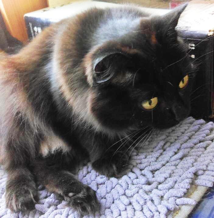 Диспетчер Чернуха - ответственна, собрана и корректна.