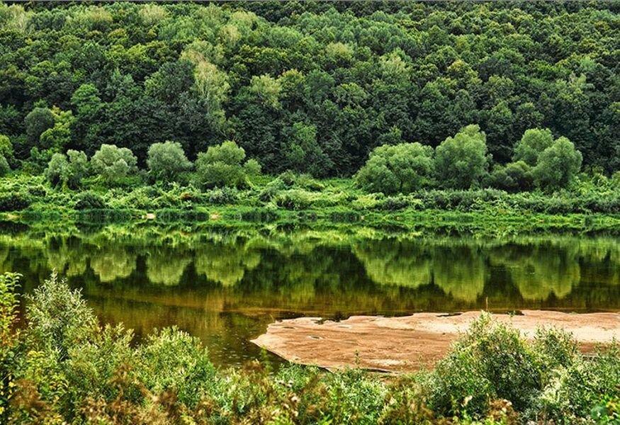 Park of the reserve. Приокско-Террасный заповедник Серпухов. Биосферный заповедник Серпухов. Данки Серпухов заповедник. Приокско-Террасный заповедник реки.