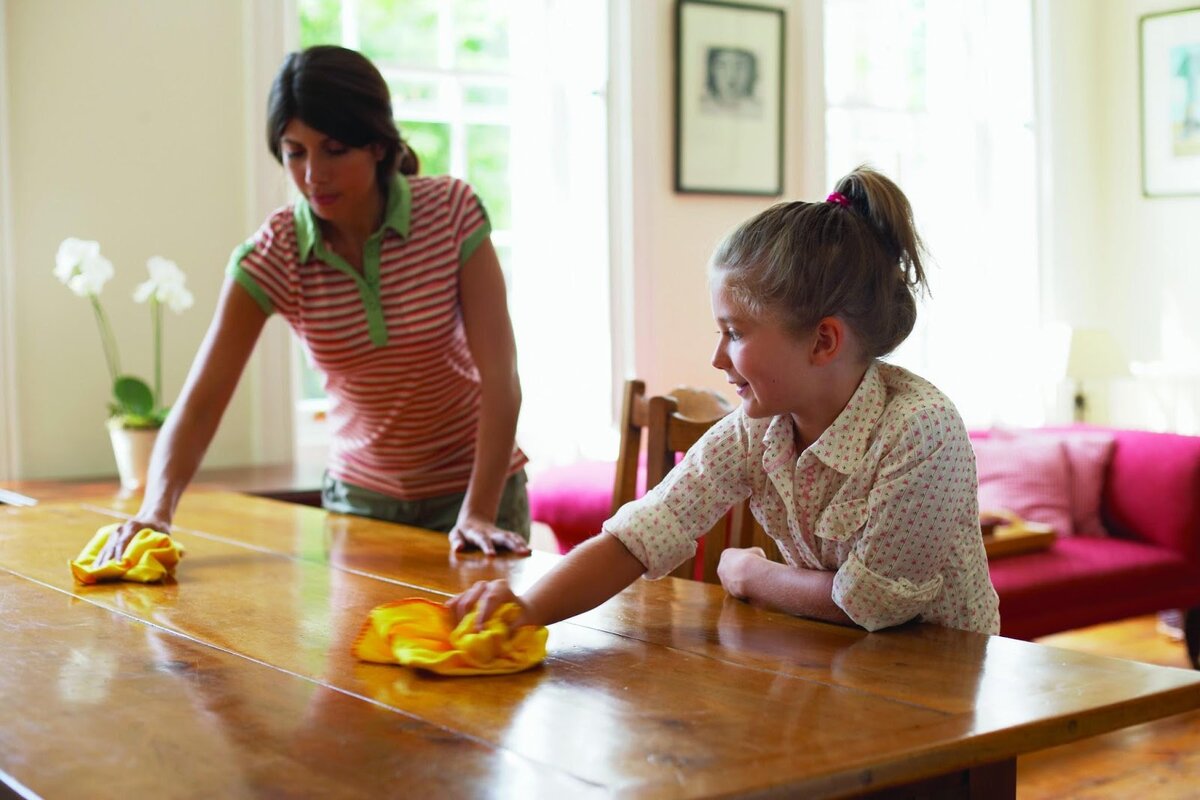 The cleaning party