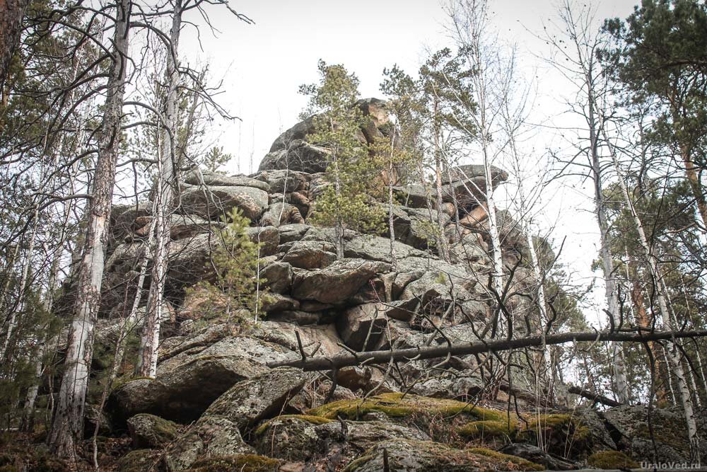 Чашковский хребет. Чашковский хребет Городище каменных фигур. Чашковский хребет Миасс. Гора Голуха Миасс. Чашковский хребет гора Голуха.