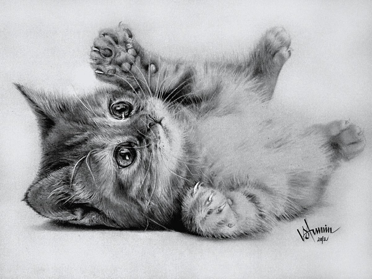 "Поиграй со мной", pencil, 30*40, 29.10.2012, Slava Strunin, Russia, Moscow.