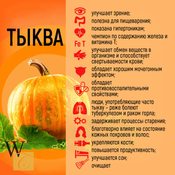 Польза тыквы