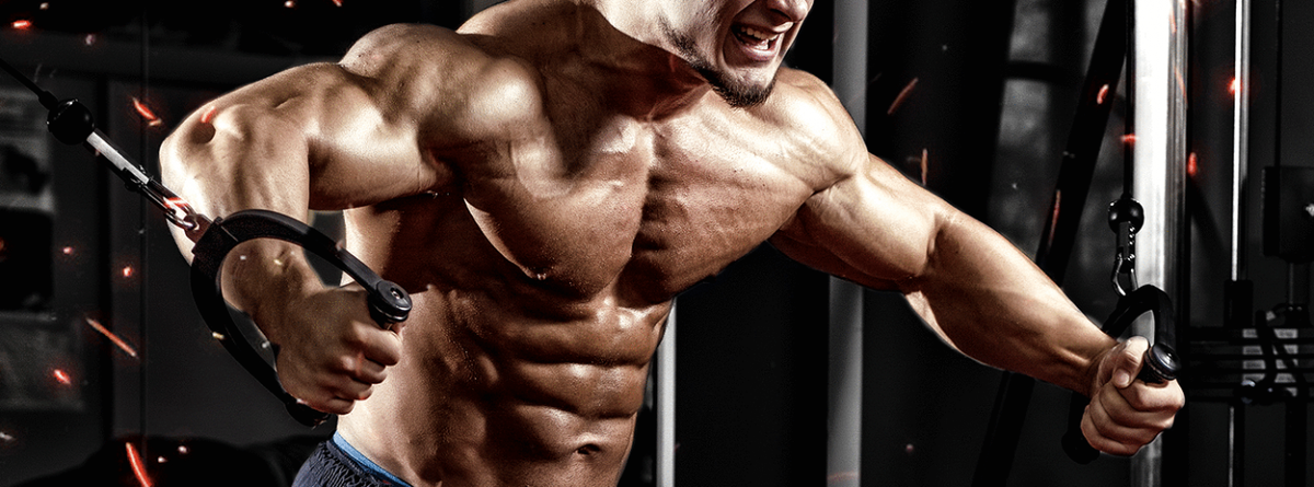 бицепс и грудные мышцы. бицепс и грудные мышцы. бицепс и грудные мышцы. мускулистая рука. красивые мышцы.