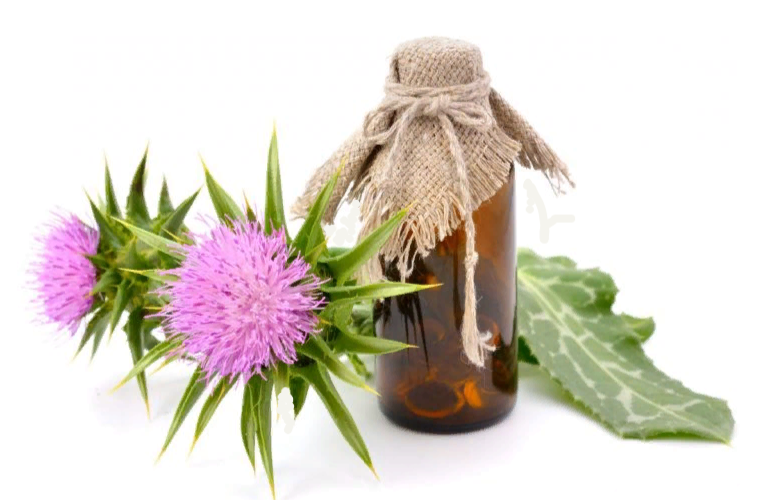 Только если печень абсолютно здорова, допускается приём масла внутрь, желательно в капсулах