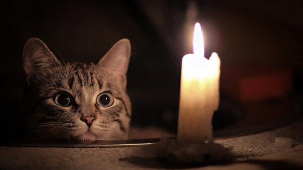 Фото любезно предоставлено открытым источником: yandex.ru