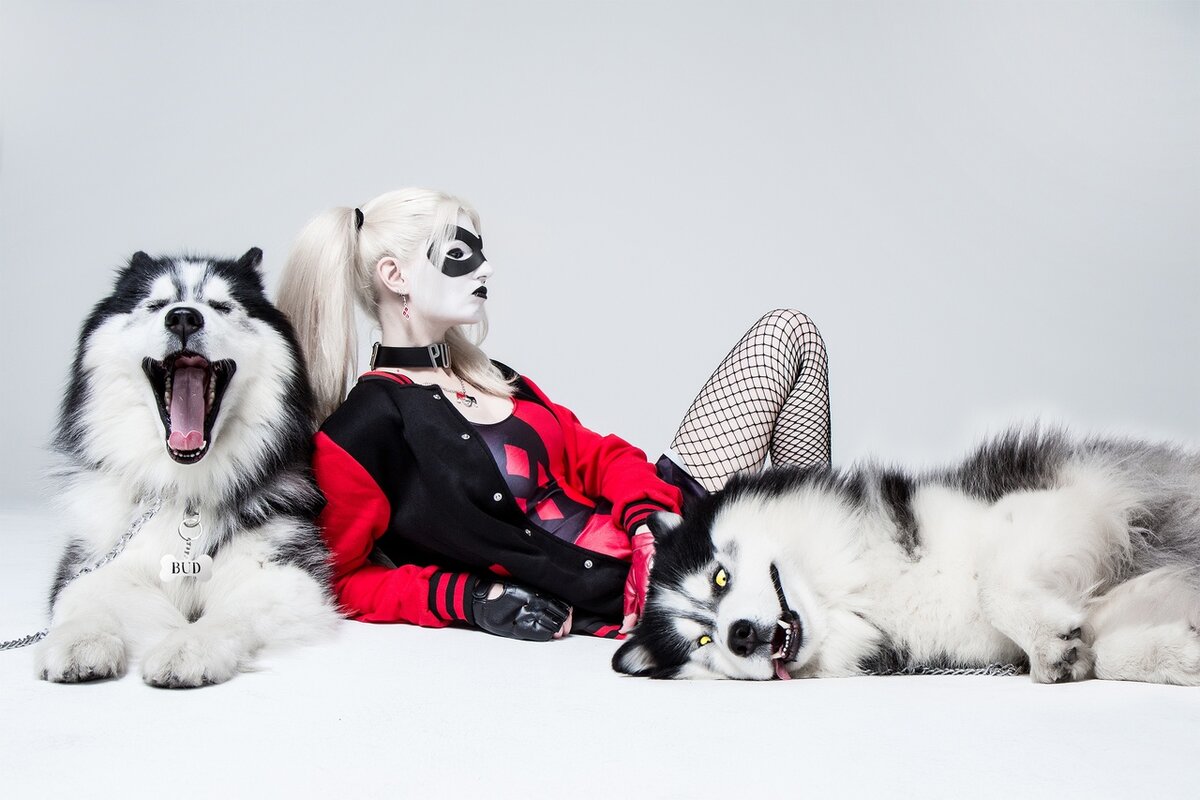 марго робби круэлла. гиены харли квинн мультик. круэлла и харли квинн. харли квинн с собакой. харли квинн пеннивайз.