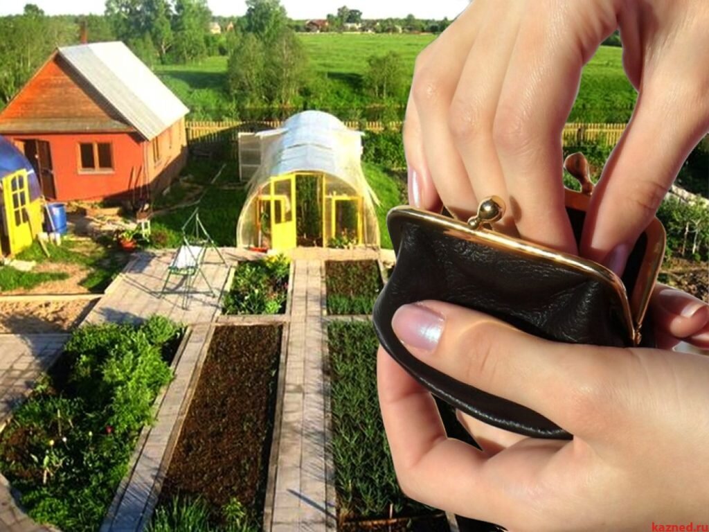 Фото взято с сайта jrst.ru