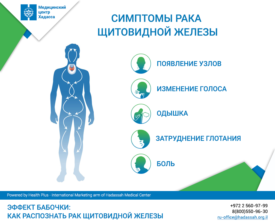 Онкология щитовидной железы. Профилактика заболеваний щитовидки. Профилактика болезней щитовидной железы. Профилактика заболеваний щитовидной железы памятка. Профилактика заболеваний щитовидной железы буклет.