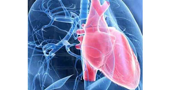 Фото: Яндекс.Картинки