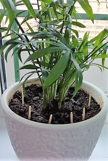 Буду рада, если поставите ЛАЙК! Заранее спасибо!  