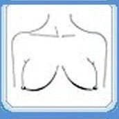 13 форм женской груди. Что форма расскажет о характере