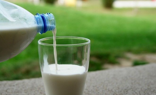  
Фото: pixabay.com