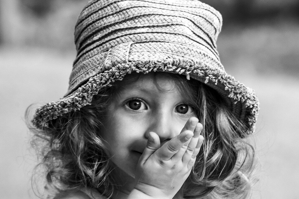 Фото:pixabay.com