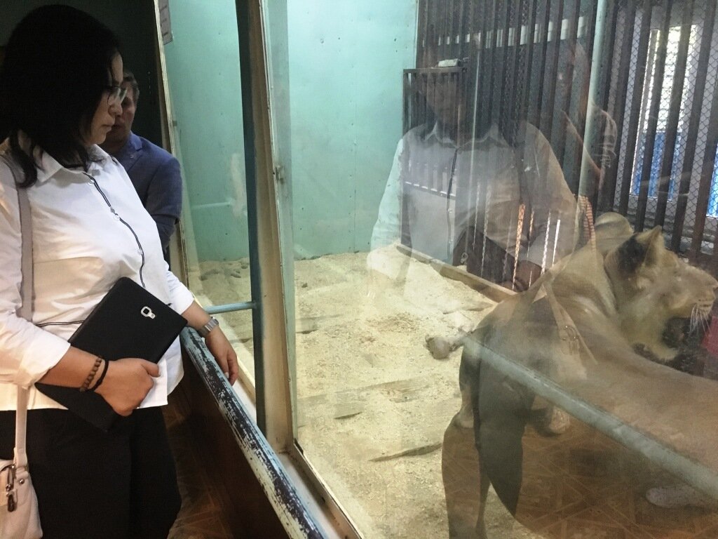 фото пресс-службы Минкультуры края