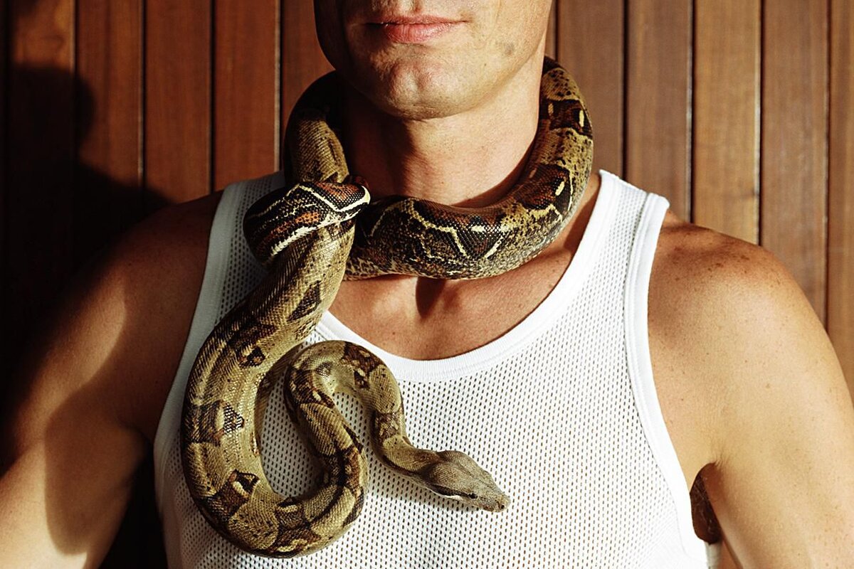 Змея вокруг шеи. Змеи на шее. Змея обвилась вокруг. Змея обвивает шею. Мужчина змей в браке