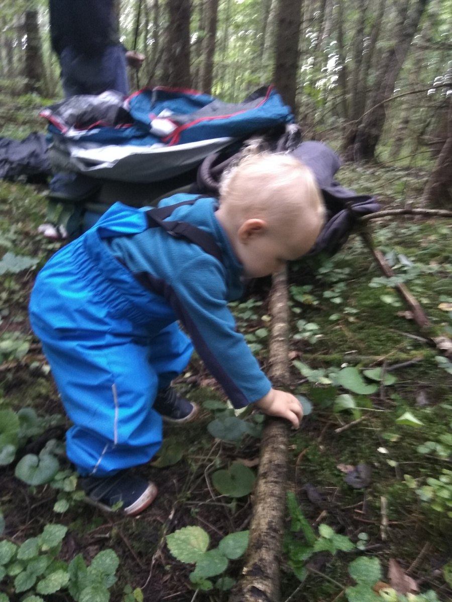 Уже через пару минут Аря начнет искать приключений. Начнет с острых сучков.