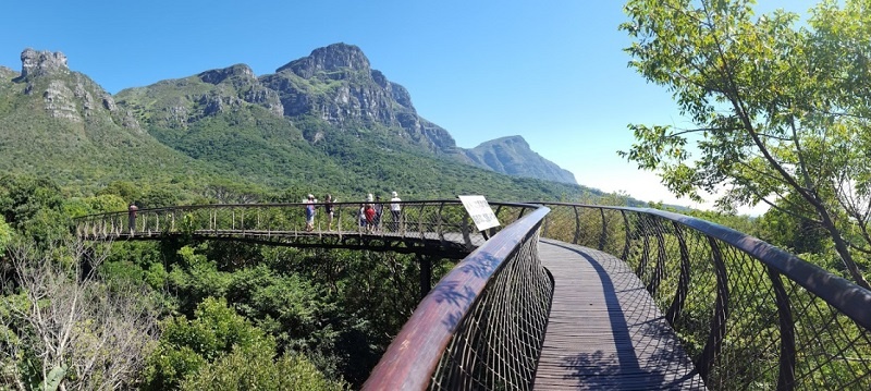 Kirstenbosch National Botanical Garden
