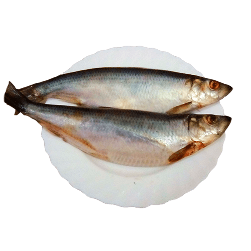 Селедка