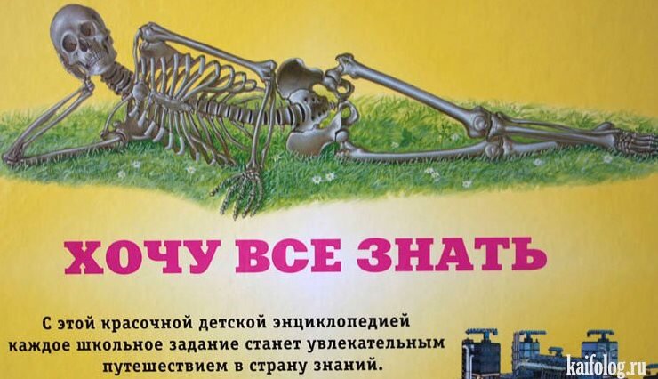 картинка с открытого источника интернет Яндекс Картинки