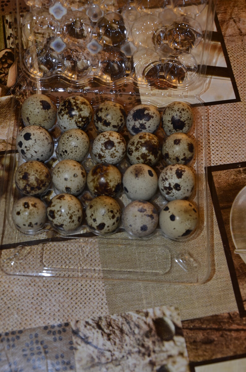 2 десятка яиц в одной упаковке