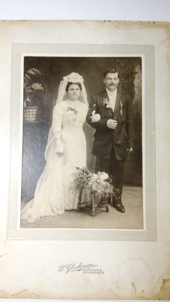 Фото Вещистка