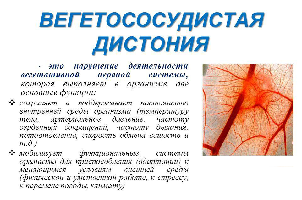 Вегето сосудистое заболевание. Вегетососудистая дистония симптомы. Вегетососудистая дистония клиника симптомы. Вегетососудистаядистания. Венето сосудистая дистания.