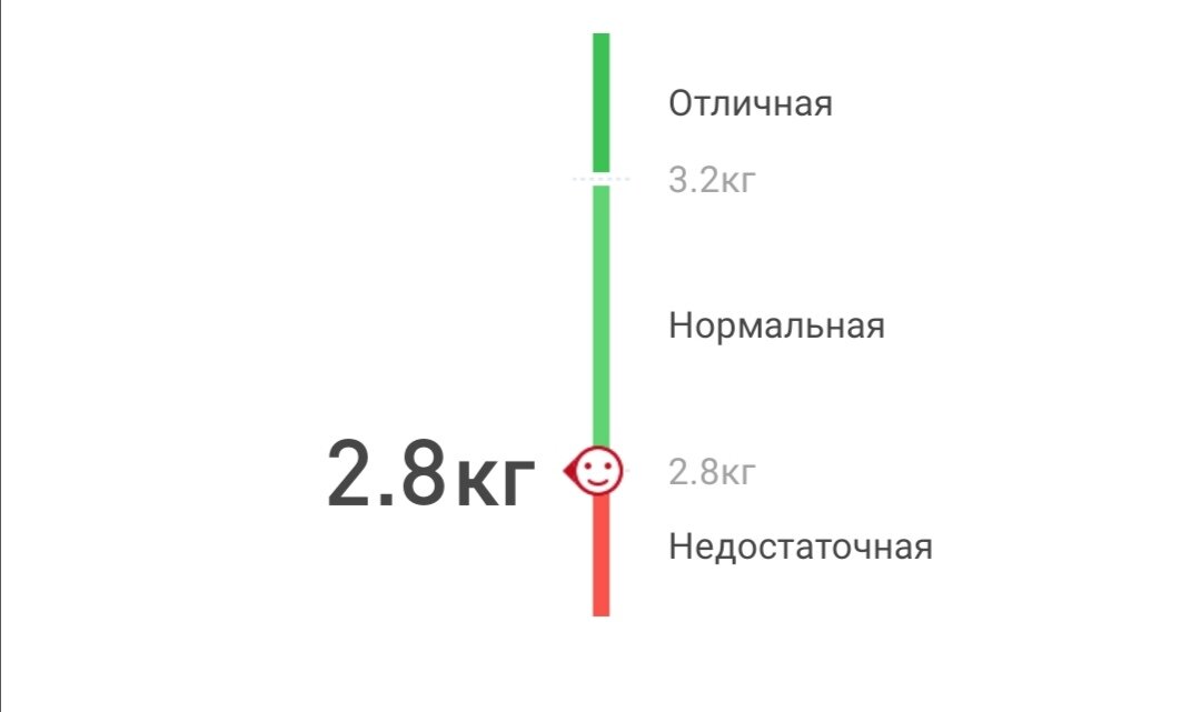 Норма веса костной массы