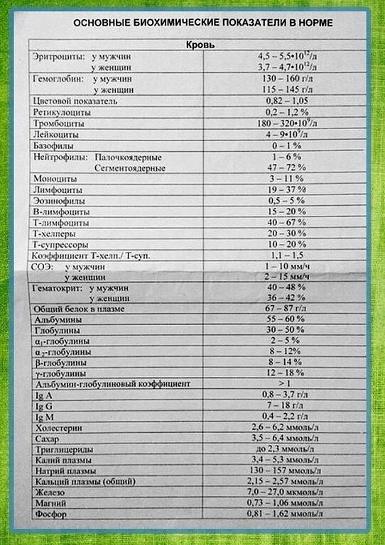 Биохимия нормальные показатели