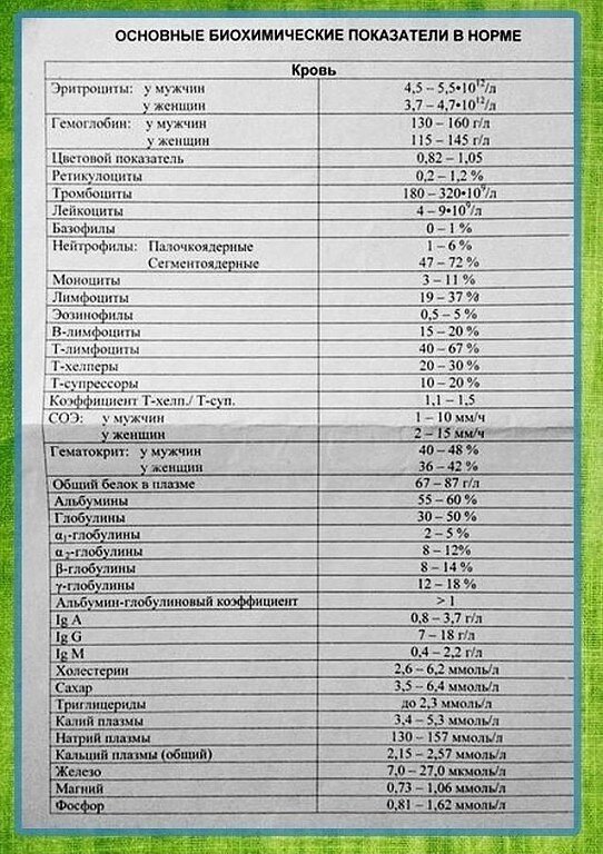 Показатели биохимического анализа