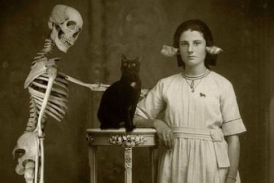 Скорее всего автор здесь фантазировал, эти ракушки предполагалось использовать для улучшения слуха, в чём то его фантазия верна! 