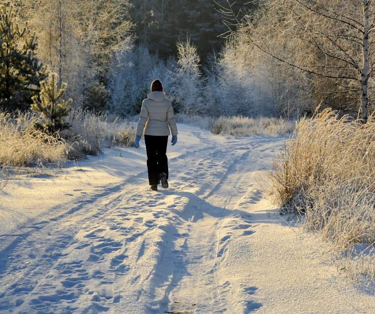 Фото взято из открытого источника yandex.ru 