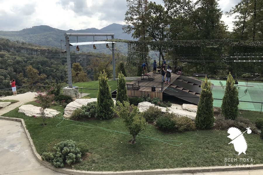 Фото: "Всем пока, ёж уехал"