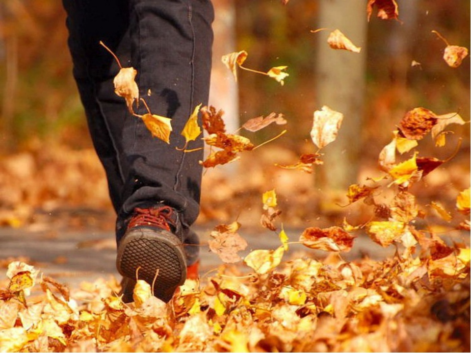 Листья под ногами. Осенняя листва под ногами. Шорох листьев. Шуршание листьев. Осень через