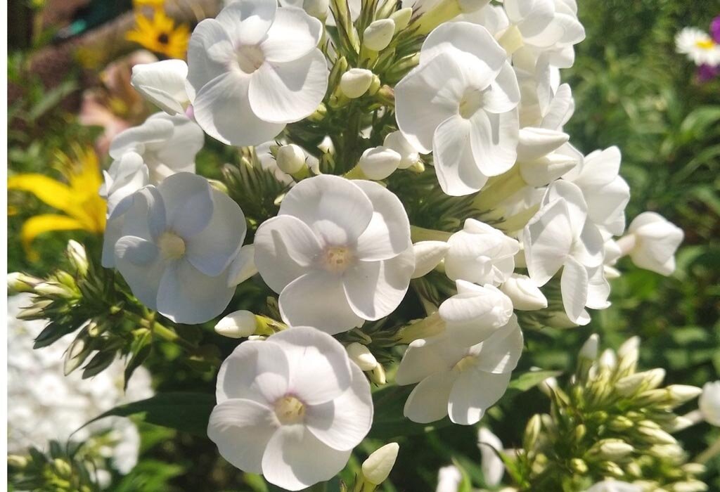 фото из личного архива