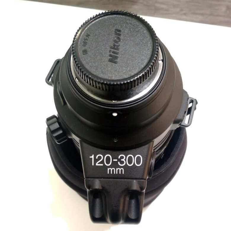Nikon 120-300mm f/2.8 - тест