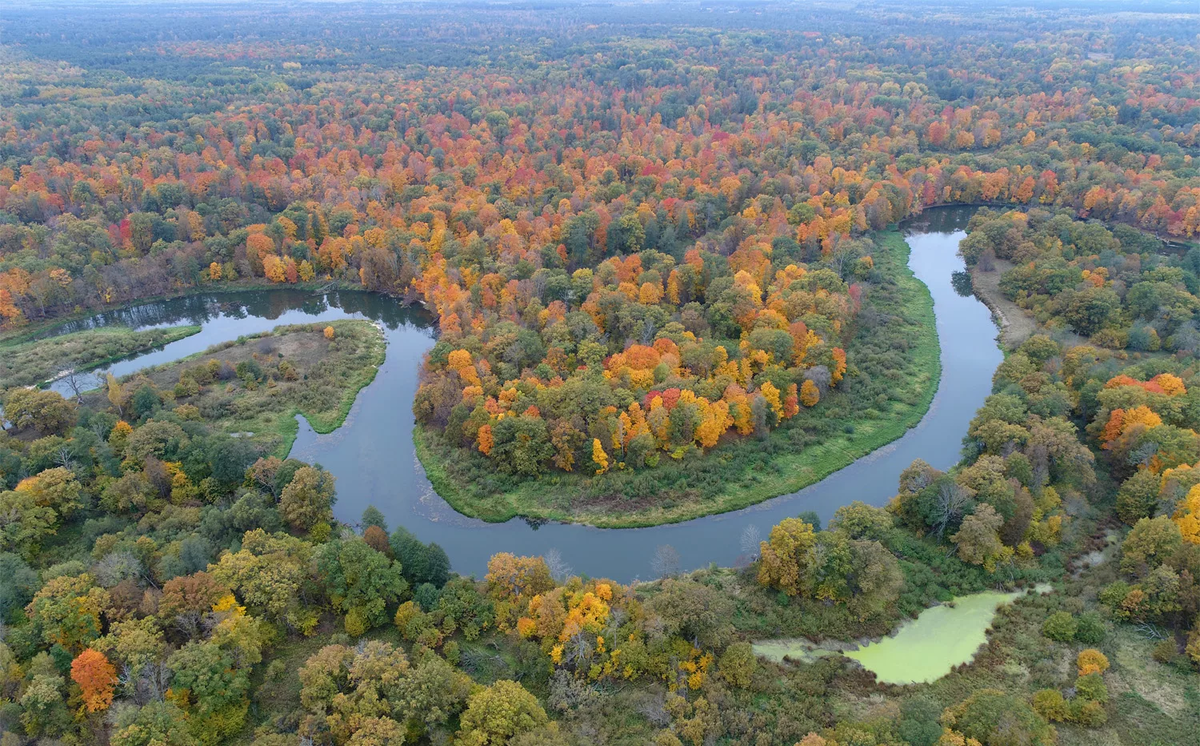 Осень в Орловской области